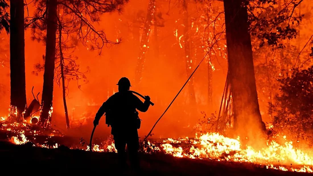 Predicting the Burn: How Mathematics Can Help Us Fight Wildfires